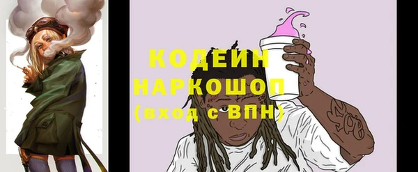 индика Рославль