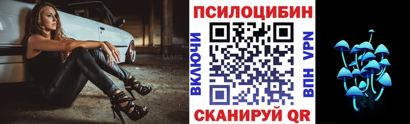 Псилоцибиновые грибы ЛСД  наркошоп  Котовск 